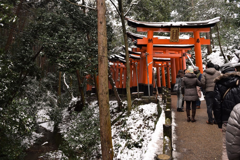 新年 02
