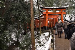 新年 02