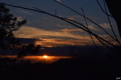 夕影 弐