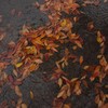 秋霖 弐