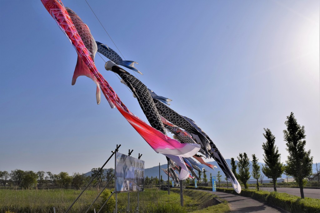空に泳ぐ