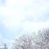 雪持ち 04