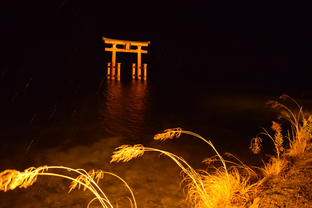 新年 01