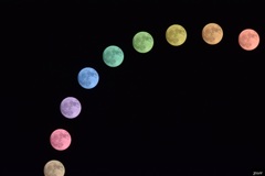 幻夜行