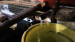 水辺の景色 04