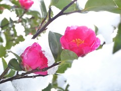 彩る 01