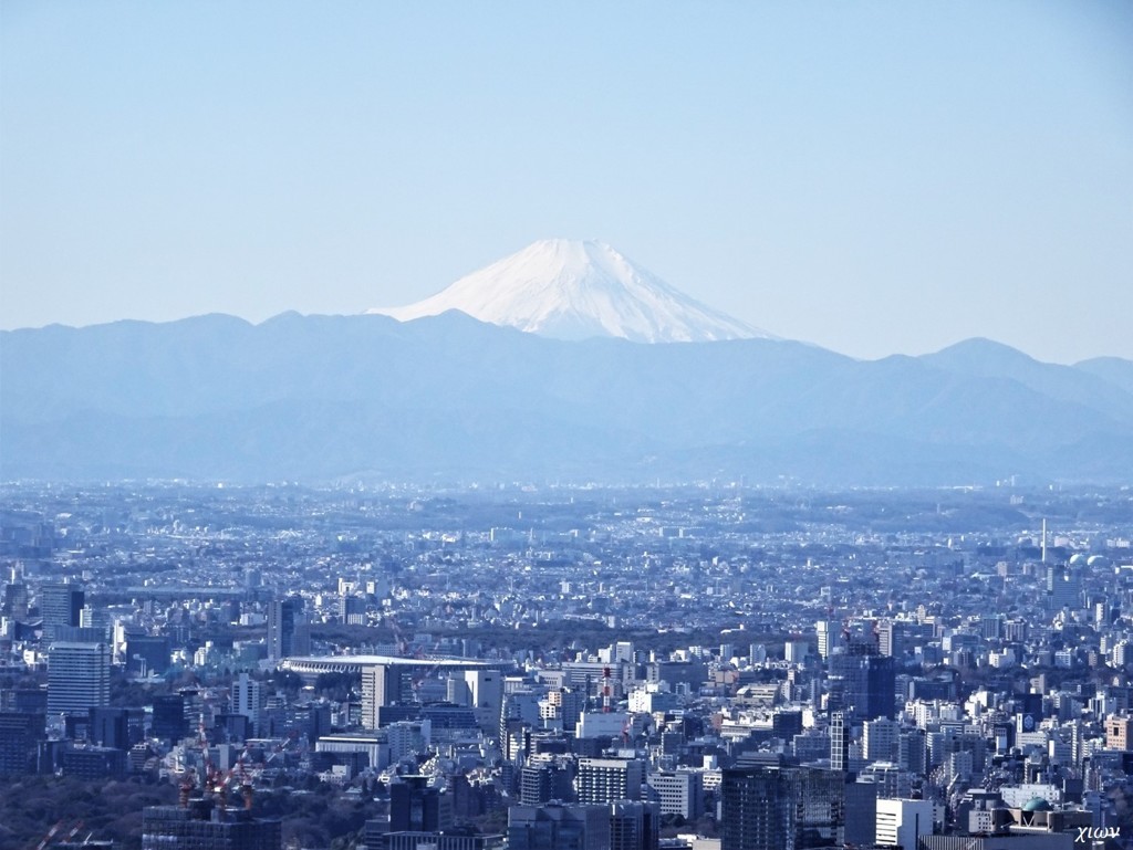 晴天のスカイツリー 02