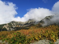 山粧う 参