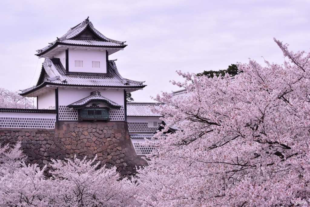 春高楼の花 肆
