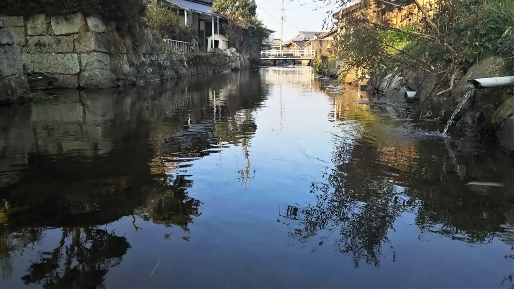 水辺の景色 07