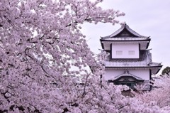 春高楼の花 弐