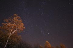 星ふり