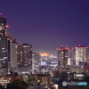青葉城〜夜景〜