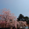 桜～角館～２