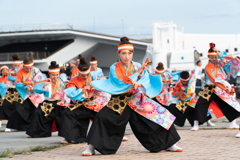 横浜よさこい祭り