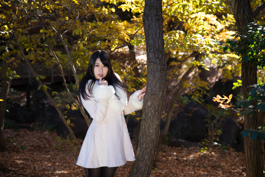 モデル撮影会～晩秋