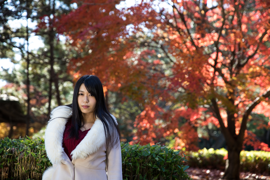 モデル撮影会～晩秋