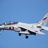 JASDF 302nd Tactical Fighter Squadron