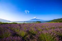 河口湖畔にて