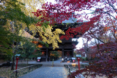 師走の九品仏浄真寺