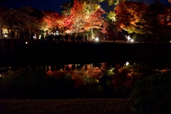 平等院　鳳凰堂