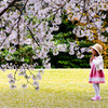 桜と女の子