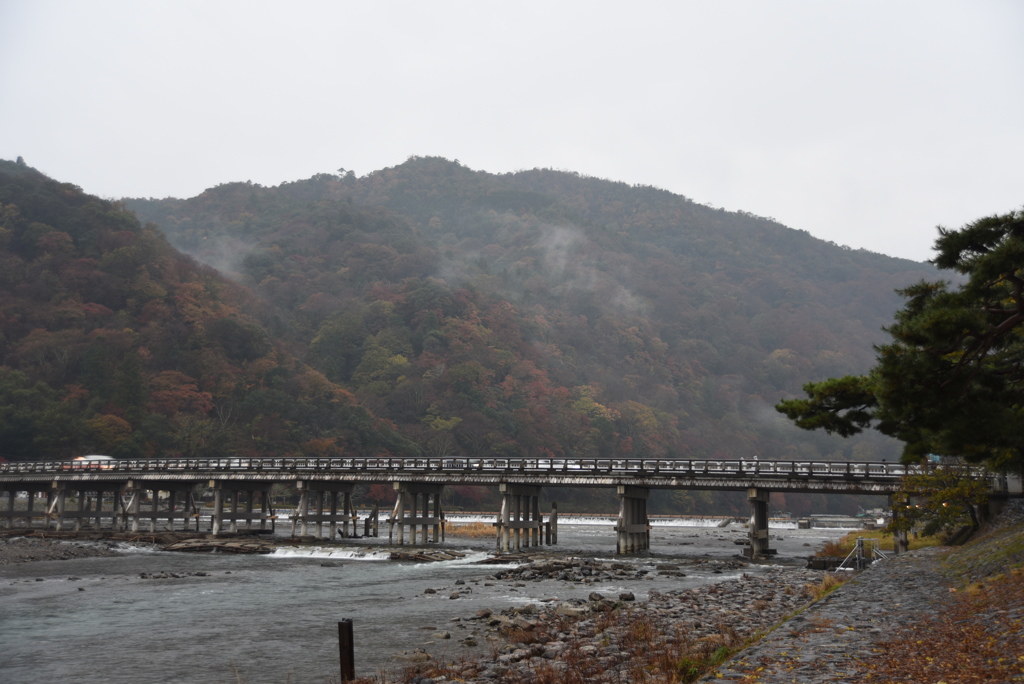 1118　渡月橋