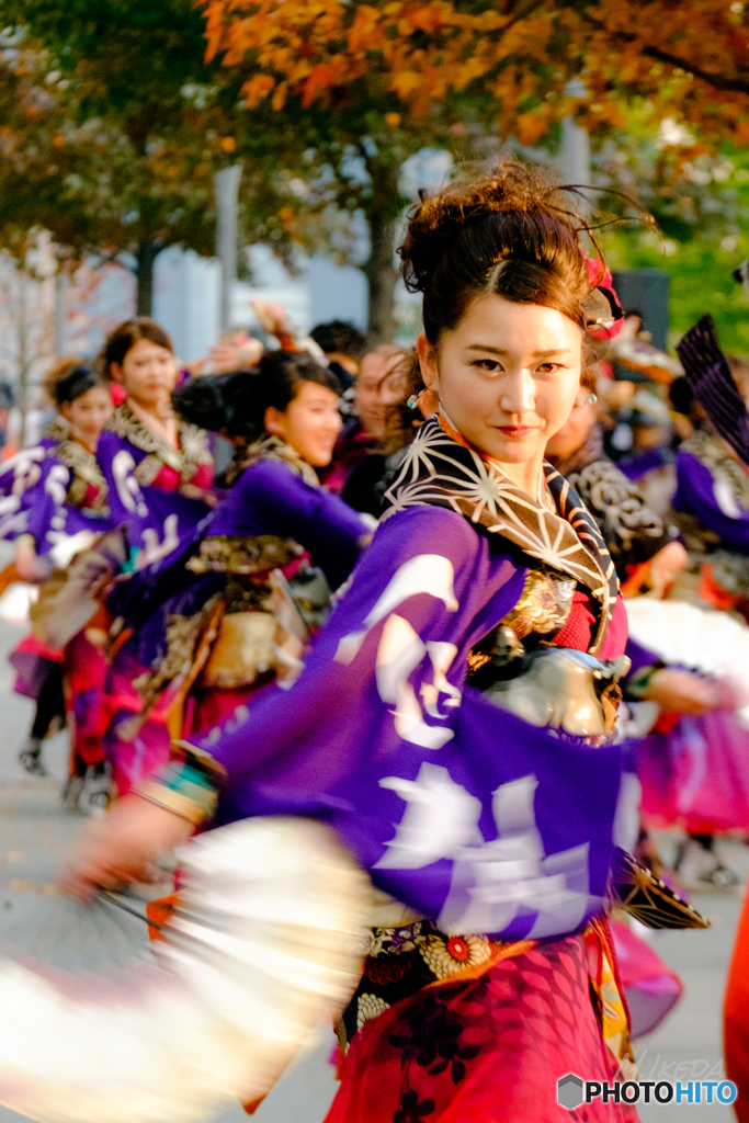 第１６回ドリーム夜さ来い祭り　百花夢想　東京支部