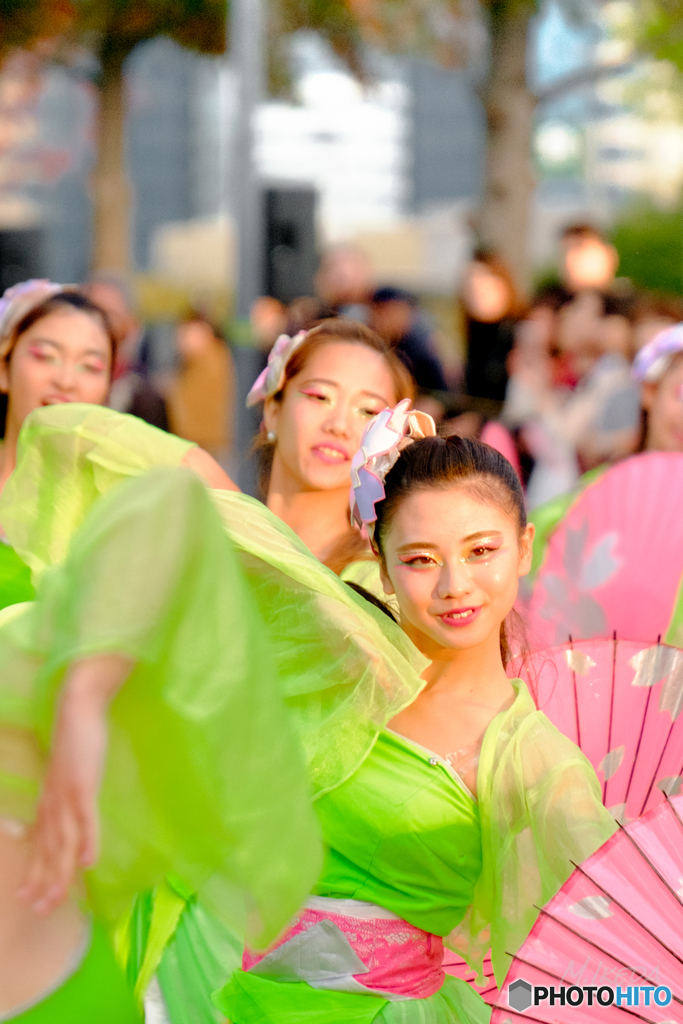 第１６回ドリーム夜さ来い祭り　疾風乱舞