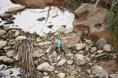 水のないところで