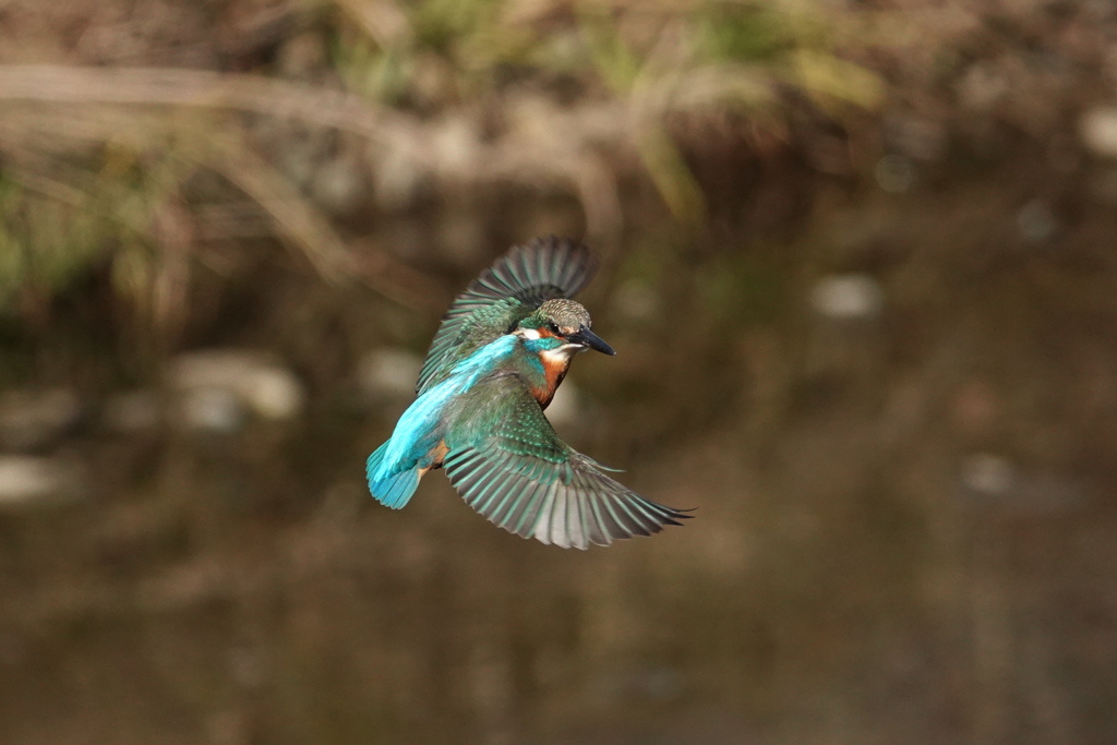 2020.02.02ホバリングからの方向転換
