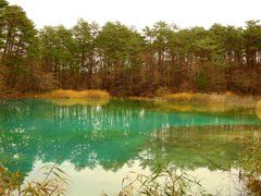 裏磐梯五色沼-青沼