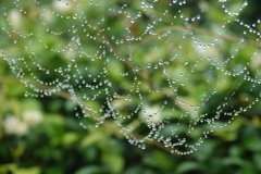 雨だれのネックレス