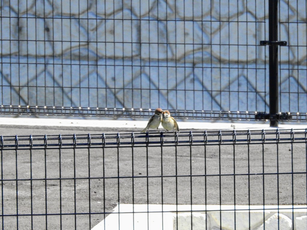 幸せいっぱい！