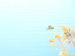 飛びもの挑戦中！