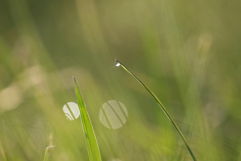 始まりはいつもひとつ