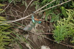 着地は満点？