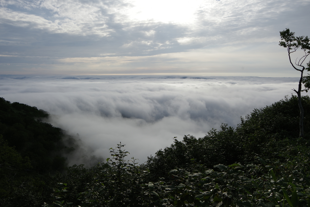 雲海　3