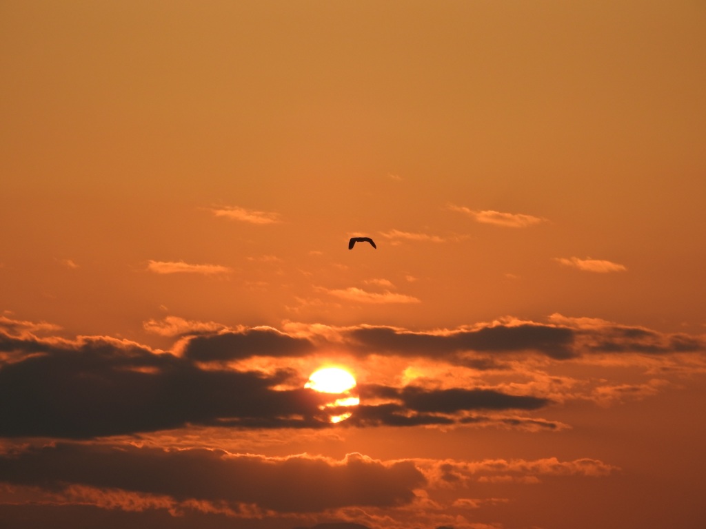 これから帰ります！