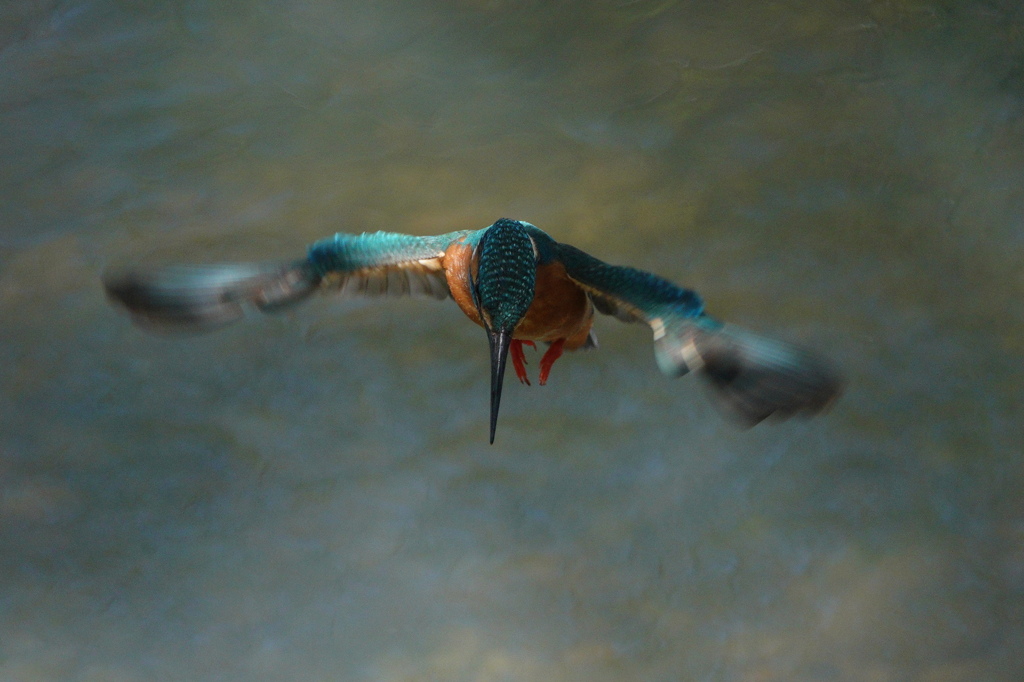 2020.04.19ホバリング1