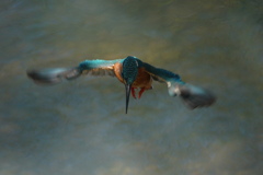 2020.04.19ホバリング1