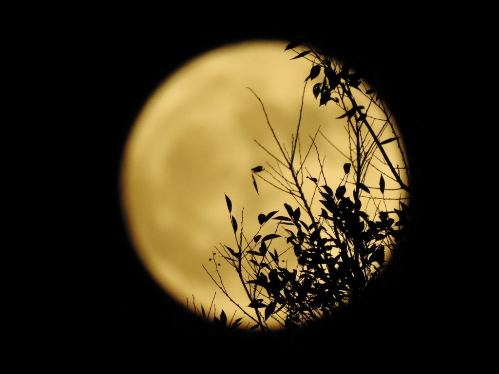 今宵の月2017.12.03-3