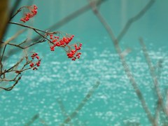 五色沼ｰ弁天沼