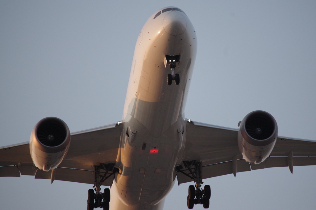 真上を飛行機が！