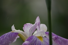 梅雨の時期には…