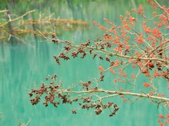 裏磐梯五色沼-毘沙門沼