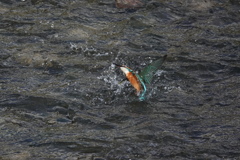 逃した獲物は大きかった　1