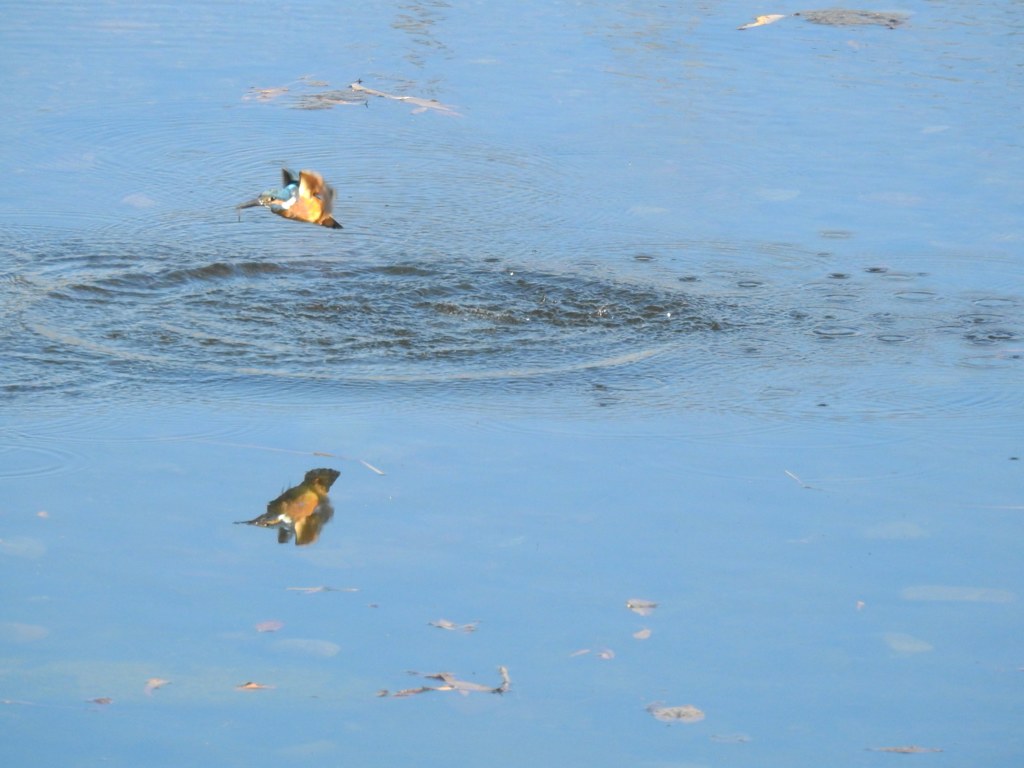 2018.初飛びもん！