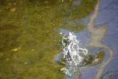 水面下の闘い