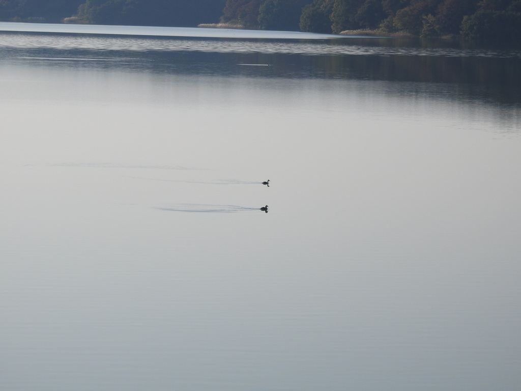 同じスピードで！